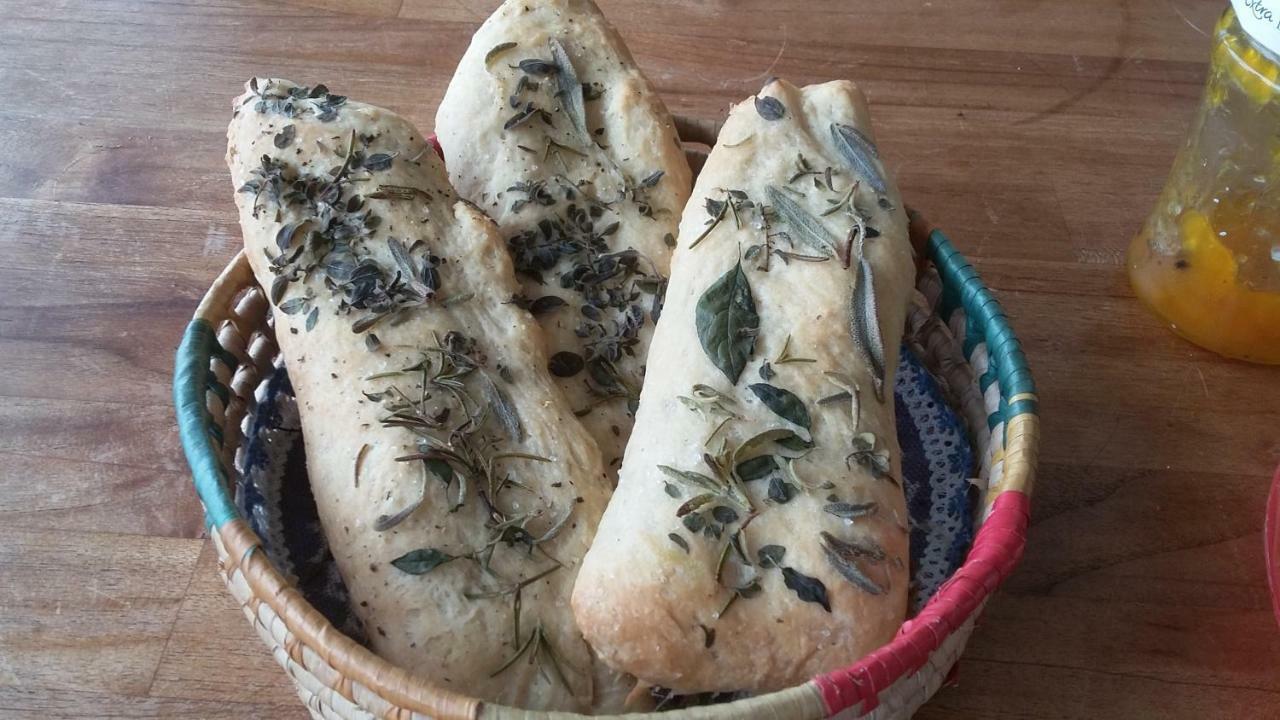 مبيت وإفطار ريو دي جانيرو Casa Babilonia المظهر الخارجي الصورة